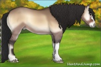 Horse Color:Bay Onyx 