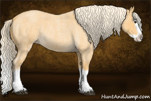 Horse Color:Palomino Roan Splash