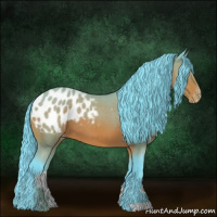 Horse Color:Watercolor Bay Roan Appaloosa 