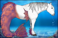 Horse Color:Gray White Spotted Black and Gray White Spotted Bay