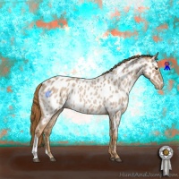 Horse Color:Red Roan Near Leopard 