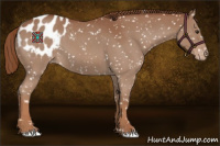 Horse Color:Red Roan Blanket