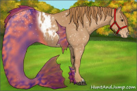 Horse Color:Red Roan Appaloosa 