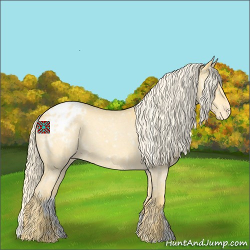 Horse Color:Palomino Roan Appaloosa 