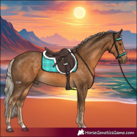 Horse Color:Chocolate Palomino