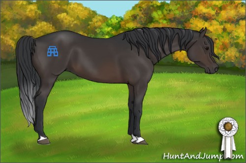 Horse Color:Brown 