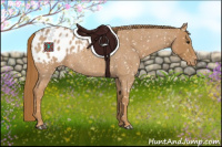 Horse Color:Red Roan Appaloosa 