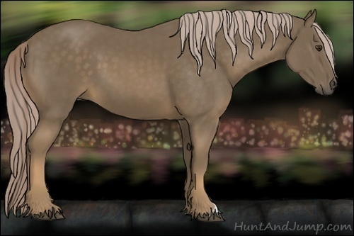 Horse Color:Chocolate Palomino