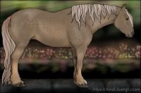 Horse Color:Chocolate Palomino 