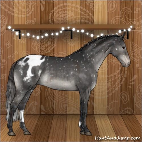 Horse Color:Brown Dun Mushroom Appaloosa Brindle 