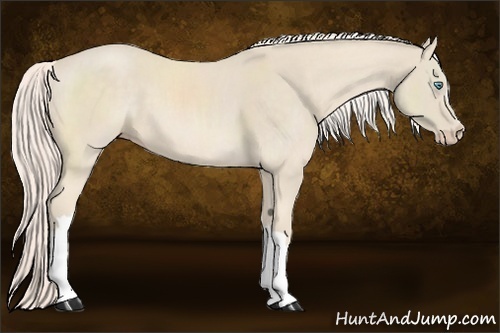 Horse Color:Cremello 