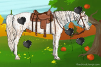 Horse Color:Gold Champagne Pearl Rabicano  and Gold Champagne Pearl Appaloosa Rabicano 