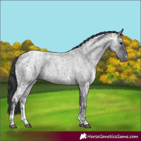 Horse Color:Blue Ice Roan Sabino 