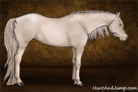 Horse Color:Chocolate Palomino Pearl