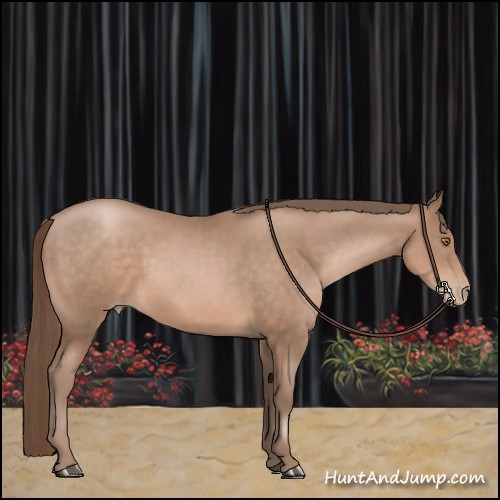 Horse Color:Brown Pearl Mushroom 