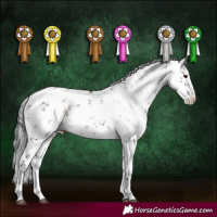 Horse Color:White Spotted Brown Dun Sabino 