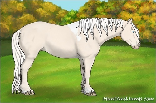Horse Color:Cremello Tobiano 