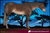 Horse Color:Liver Chestnut Mushroom 