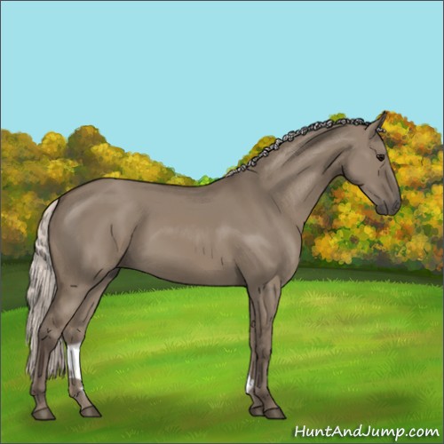 Horse Color:Silver Grullo 