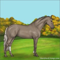 Horse Color:Silver Grullo 