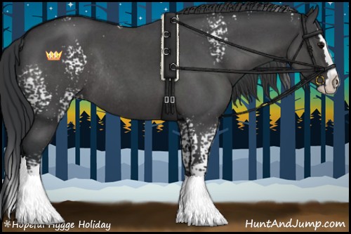 Horse Color:White Spotted Blue Roan Splash Rabicano