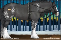 Horse Color:White Spotted Blue Roan Splash Rabicano 