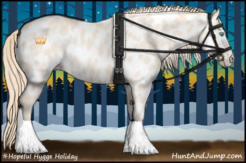 Horse Color:Perlino Roan Sabino Appaloosa 