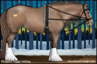 Horse Color:White Spotted Black Pearl Tobiano Rabicano 