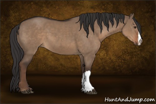 Horse Color:Liver Red Dun 