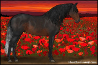 Horse Color:Gray Brown 