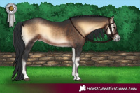 Horse Color:Brown Onyx 