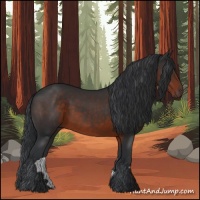Horse Color:Brown 
