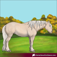Horse Color:Cremello Mushroom 