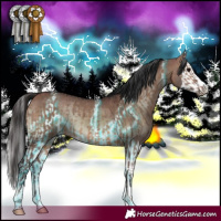 Horse Color:Bay Dun  and Thunderstruck Bay Onyx Splash 