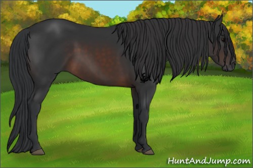 Horse Color:Brown 