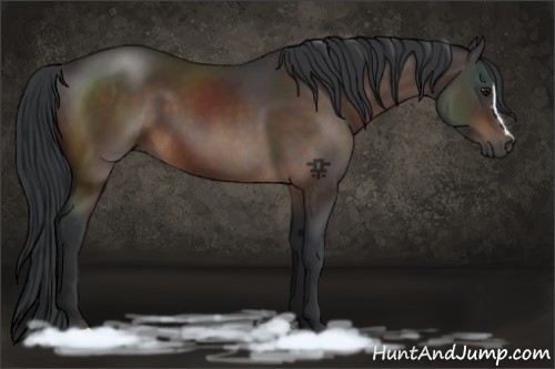 Horse Color:Brown 
