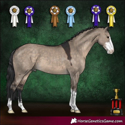 Horse Color:Brown Dun Sabino 