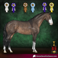 Horse Color:Brown Dun Sabino 