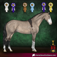 Horse Color:Brown Dun Sabino