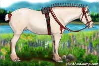 Horse Color:Silver Amber Cream Champagne Roan Pearl