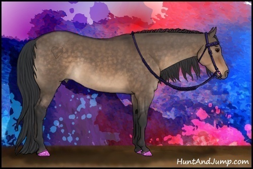 Horse Color:Brown Dun