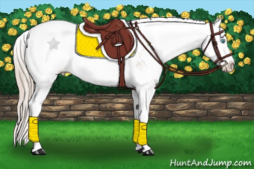 Horse Color:Chocolate Palomino Pearl Sabino