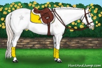 Horse Color:Chocolate Palomino Pearl Sabino 