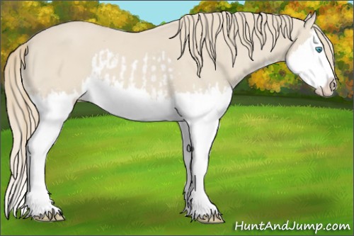 Horse Color:Smoky Creme Splash  and Smoky Creme Splash 