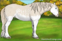 Horse Color:Smoky Creme Splash  and Smoky Creme Splash 