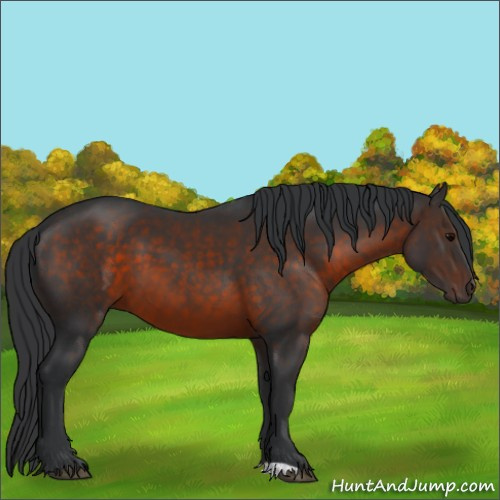 Horse Color:Brown 