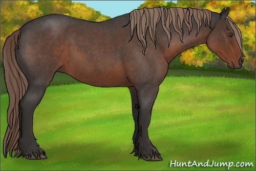 Horse Color:Liver Red Roan 