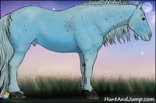 Horse Color:ERROR: UNKNOWN ANOMALY