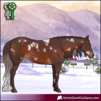 Horse Color:White Spotted Chocolate Brown 