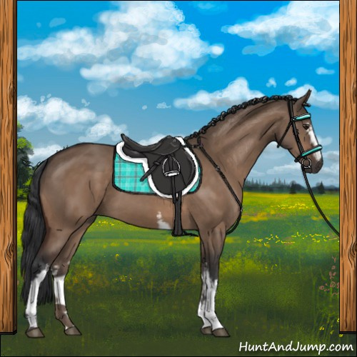 Horse Color:White Spotted Brown Dun